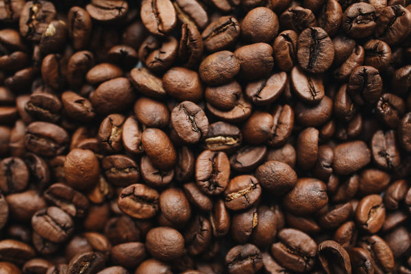 Melbourne International Coffee Culture - Wide Alley Coffee