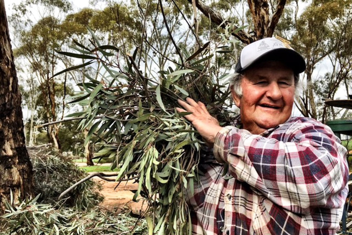 From Gold to Eucy and Firewood: A Wedderburn Family Story