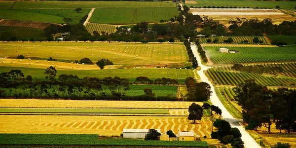 Paddock to Pantry — Barossa Valley Oils & Vinegars